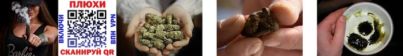 Купить закладки  Зеленогорск  ГАШИШ hashish 