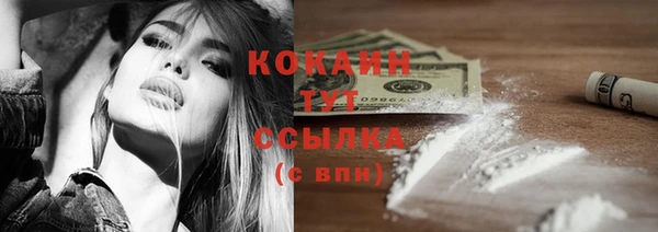 ГАЛЛЮЦИНОГЕННЫЕ ГРИБЫ Козельск