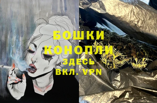ГАЛЛЮЦИНОГЕННЫЕ ГРИБЫ Козельск