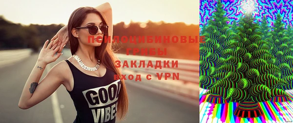 спиды Козловка
