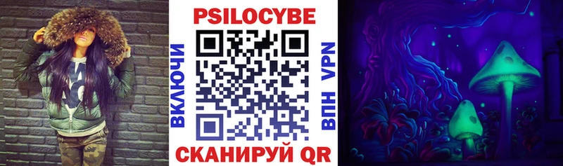 Купить закладки  Зеленогорск  Псилоцибиновые грибы Cubensis 